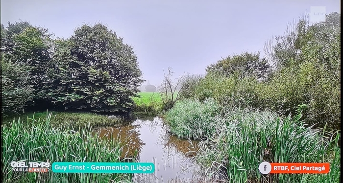 photo de Guy Ernst à la RTBF d'un étang